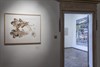 Stephen Turner, Natura Prima? 2019, exhibition view, Fondazione Bevilacqua La Masa, Venice (3)